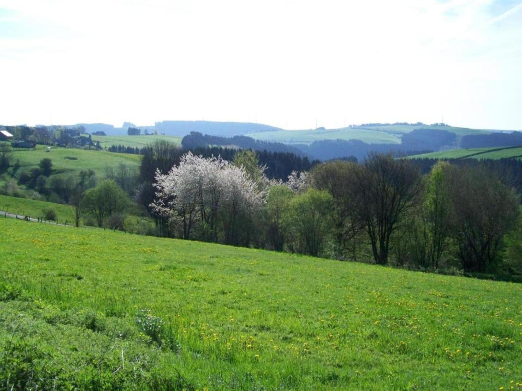 Holiday Home With Garden In Hellenthal Eifel Exteriör bild