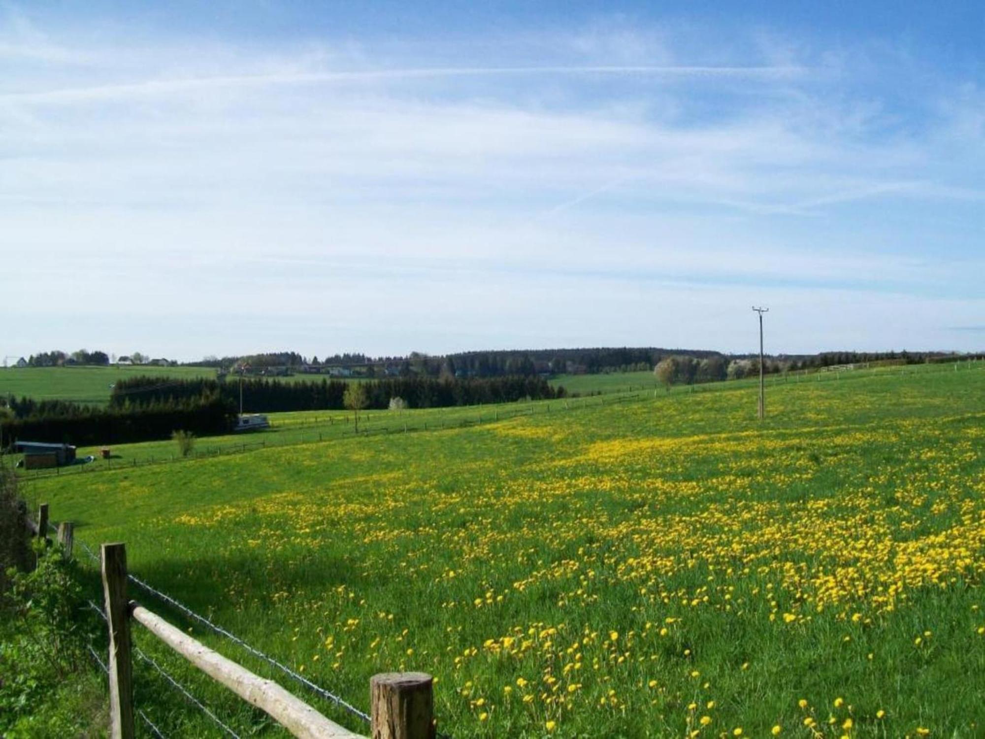 Holiday Home With Garden In Hellenthal Eifel Exteriör bild
